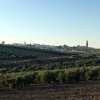 Vista paisajista (1)